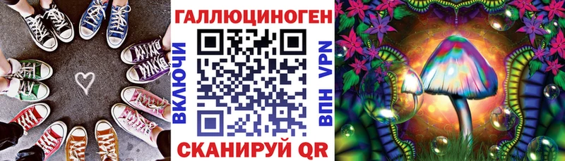дарнет шоп  omg маркетплейс  Галлюциногенные грибы Psilocybine cubensis  Надым 